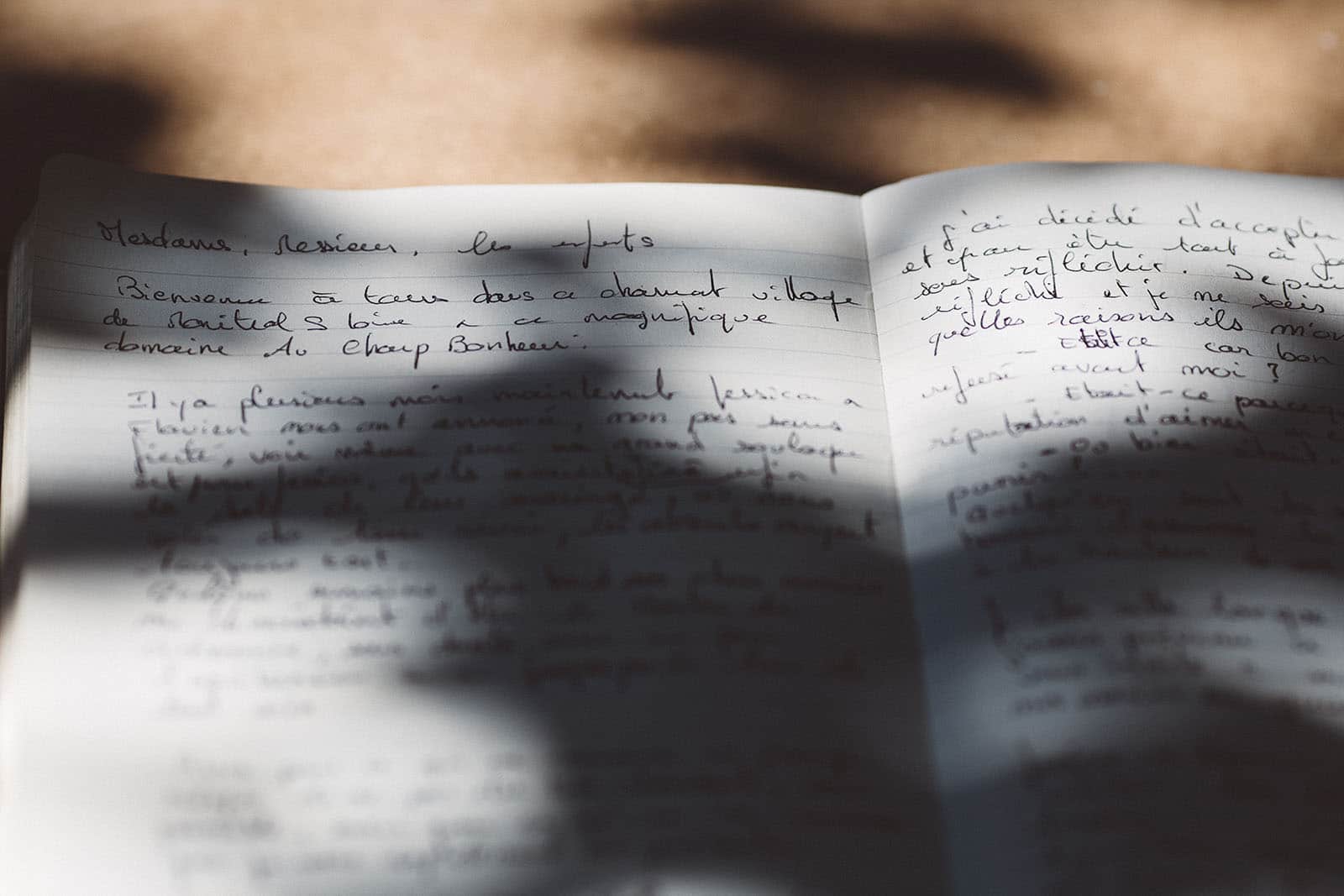 photographe de mariage Saint Etienne émotion joie bonheur cérémonie laique mariage champêtre