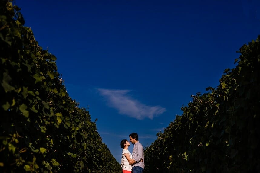 love session dans les vignes Castille ALMA photographe de mariage