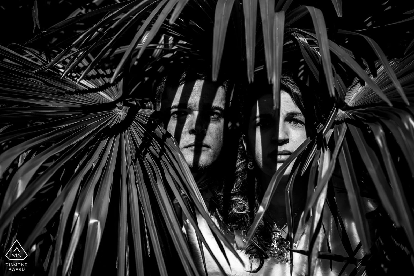 Castille ALMA Diamond award WPJA