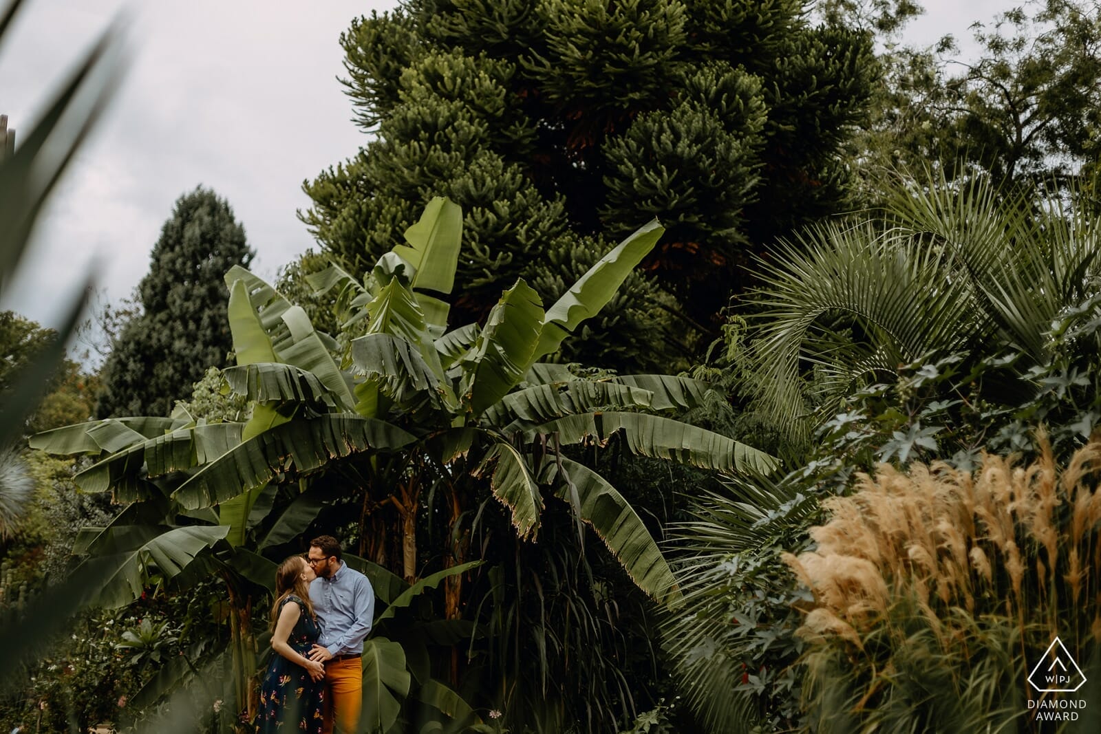 Castille ALMA Diamond award WPJA