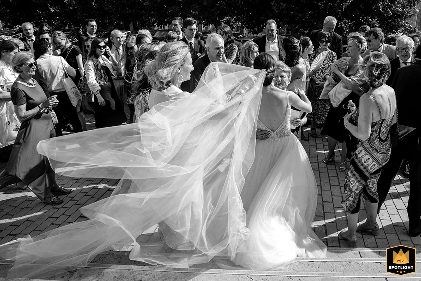 La WPJA reconnaît fièrement Castille Alma comme l'un des meilleurs photographes de mariage internationaux.
